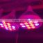 RED/BLUE PAR38 12W led plant grow light E27/E26/B22 Seeding, blooming, flowering and fruiting