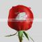 Full Color White Inkjet Red Rose Flower Printer_Qingdao Unique