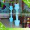 Color Change LED Decorative Floor Light