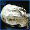 Skulls Decorative Resin Wholesales Halloween Skull For Crafts