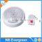 5 LED Tent Light with Remote Control