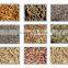 fertilizer pelletizer machine/fish feed pelletizer/pelletizer