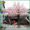 latest design artificial cherry blossom flower tree factory wholesale                        
                                                Quality Choice