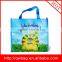 the nice blue color pp woven shopping bag