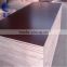 Concrete formwork film faced plywood/ 915*1830*15mm
