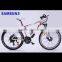 SAMSUNG Li-ion Battery Powerful Electric Bicycle (Model MTB600N)