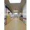hospital interior wall protection vinyl wall guard