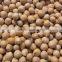 pollution-free white chickpeas garbanzo bean