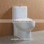 Sanitary Ware Toilet
