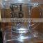 TOP/ BEST DAD beer glass mug/stein/cup fathers day gift