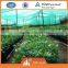 Agriculture net by Nylon / Polyester net