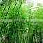 Bamboo Extract Bamboo Dietary Fiber