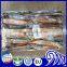 cleaned seafood todarodes squid tube U8 U10 frozen squid price wholesale