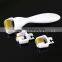 3 in 1 Mesoroller Stainless Steel Handheld Needle Derma Beauty Roller
