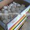 Chinese garlic2015 crop hot sale