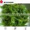 most delicious frozen seaweed salad 2016