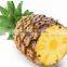 spray dried 100 % water - soluble Pineapple Fruit Powder