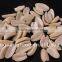 long type blanched peanuts 39/43 tasty is nutrition healthy