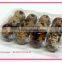 Hot sale 24 hole plastic pvc clear quail egg packing tray /quail egg cartons for sale