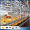 30 Years' factory supply automatic chicken cage laying hens