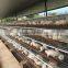 Wire Mesh Chicken Coop For Poultry Farm