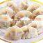 Chinese meat ravioli making machine