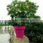 Large size plastic planter pot paint design new products