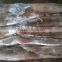 Best Selling Frozen Argentina Squid (Squid Tubes )