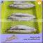 China Professional Tuna Loin Buyer