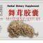 herbal dietary supplement maitake mushroom capsule