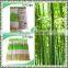 Daisi Round Bamboo Sticks Barbecue Skewer