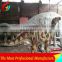 Zigong Dino City Life Size Fiberglass Sculpture Fiberglass Dinosaur