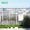 Gold Quality UV Resistant Tomato Greenhouse Greenhouse Film Plastic Polycarbonate Greenhouse