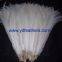 silver pheasant tail feather