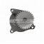 Diesel Engine Oil Pump 3047549 K19 Engine Fuel Oil Pump Assembly