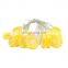 LED Lemon Chain Lights 10leds fruit string fairy lights Holiday Fashionable Christmas Lighting for Party