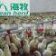 Automatic poultry watering system for chickens