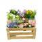 Useful eco-friendly small wood crate fruit plant box