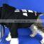 Best Quality New Fashion Brand Trendy Pet Apparel Summer Korean Cute Small Winter Designer Luxury Wholesale Dog Clothes