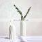 Low Moq Matt Glaze Porcelain Vase Art Moden Style Cactus Vase For Home Decoration