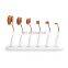 6pcs Magnetic Stand Cosmetic Makeup Brush sets