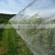 agriculture anti insect nets greenhouse insect netting for vegetable gardens aphid net insect proof mesh