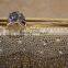 Crystal elegant lady's wedding party evening clutch bag