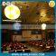 NEW!! Attractive wedding decoration inflatable ball with the led changable lights                        
                                                Quality Choice