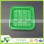 Luxury PP disposable green 1414 plastic fruit packaging tray