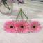 Cute Fresh Cut Gerbera Flower Preserved With Various Color