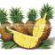 Cayenne slices pineapples in light syrup- 850ml tins