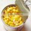 Canned Sweet Corn in 3100ml Tins