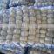 Healthy Food Fresh White Garlic/Dried garlic,Fresh Style and Garlic Type dried garlic