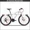 TW3000 New Design Aluminum Mountain Bicycle
